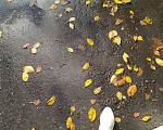 Романова Татьяна Романова Татьяна
